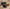 Banner Grid image