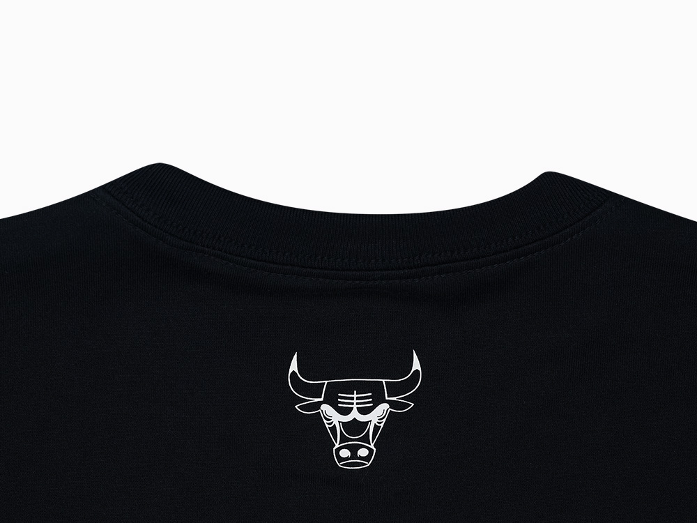 Chicago Bulls NBA Fantasy Black Short Sleeve T-Shirt | New Era Cap PH