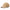 New Era Basic Corduroy Beige 9TWENTY Adjustable Cap