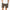 New York Yankees MLB Color Era Moss Knit Shorts