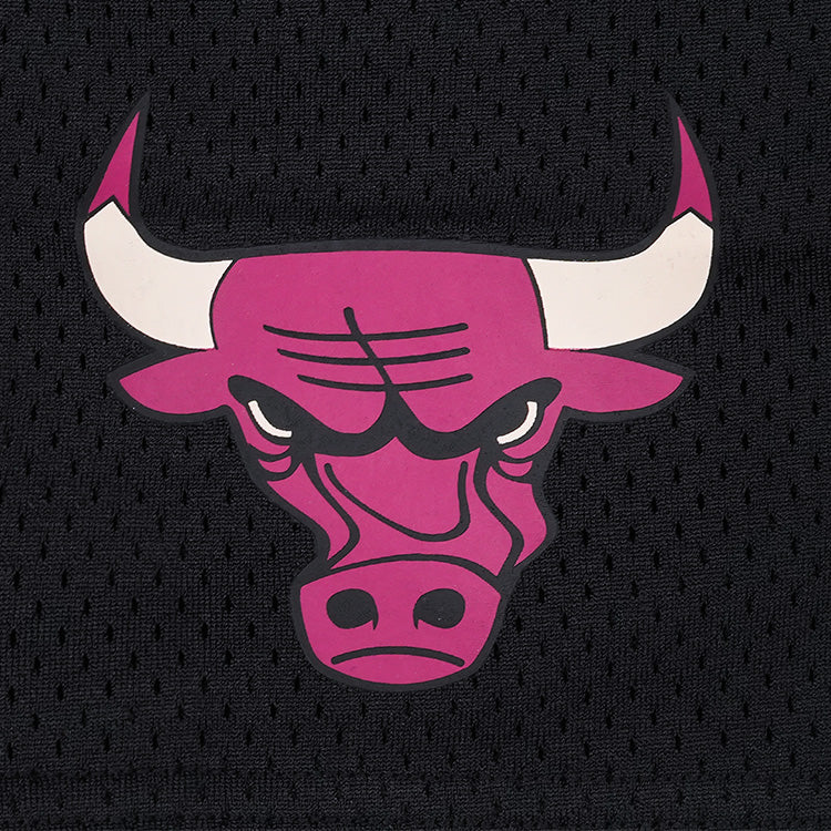 Chicago Bulls NBA Fantasy Black Mesh Shorts