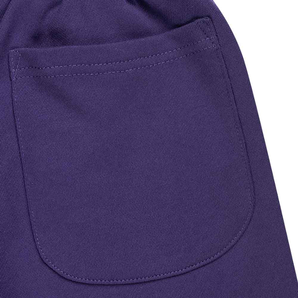 Los Angeles Dodgers MLB Color Era Purple Knit Pants