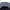 Wordmark Wild Botanica Grey Camper Hat
