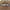 Wordmark Oval Cool Summer Khaki 9FORTY A-Frame Trucker Snapback Cap
