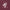 New Era Street Class Maroon COOLERA Oversized Short Sleeve T-Shirt