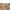 New Era Earthy Skin Real Tree Edge Knee Length Shorts