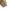 New Era NEC Earthy Skin Real Tree Edge Work Jacket