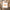 New Era NEC Earthy Skin Real Tree Edge Work Jacket