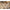 New Era NEC Earthy Skin Real Tree Edge Work Jacket