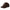 New Era Script Micro Corduroy Walnut 9TWENTY Leather Strapback Adjustable Cap