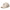 New Era Script Micro Corduroy Creme 9TWENTY Leather Strapback Adjustable Cap