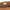 New Era Outdoor Mountain Logo SS26 Camel Suede Explorer Waist Bag
