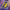 New Era Los Angeles Lakers Soccer Jersey Pack SS26 Purple Soccer Jersey