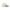 New Era NE Script Stone Khaki Youth 9TWENTY Adjustable Cap