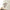 New Era NE Script Stone Khaki My 1st 9TWENTY Adjustable Cap