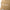 New Era Handwritten Logo Khaki 9FORTY A-Frame Adjustable Cap