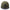 New Era New York Yankees Hydrangea Olive 59FIFTY Fitted Cap