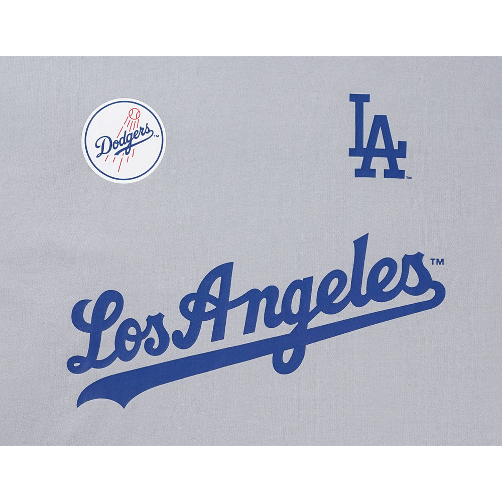 New Era Los Angeles Dodgers NE Fan Fam Dolphin Gray Oversized COOLERA Short Sleeve T-Shirt