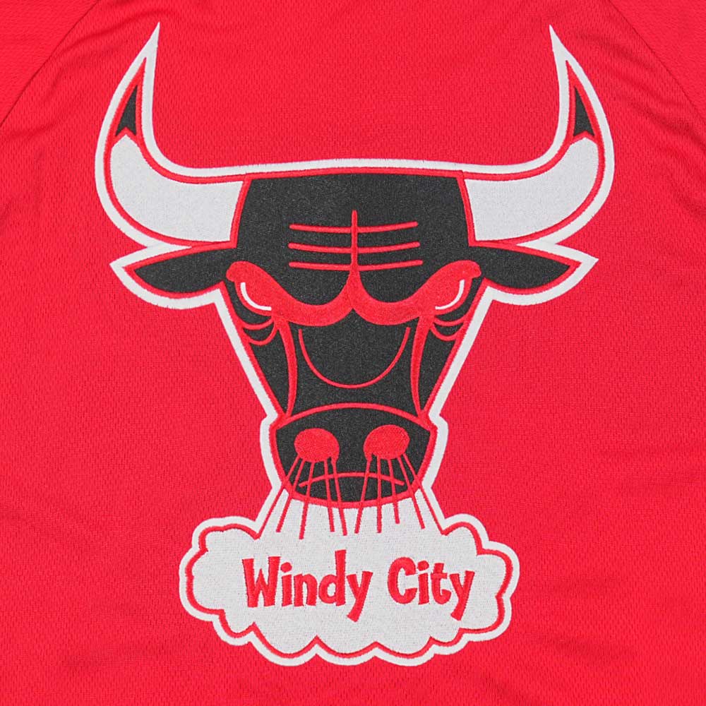 New Era Chicago Bulls Hardwood Classics 2026 Scarlet Baseball Jersey