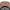New Era New York Yankees Tri Color Era FW26 Khaki Youth 9FORTY A-Frame Adjustable Cap