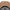 New Era Outdoor Logo FW26 Khaki 9FORTY A-Frame Adjustable Cap