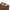 New Era Wordmark Logo Performance Brown Women Leggings