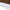 New Era Wordmark Logo Performance Brown Women Bra Top
