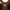 New Era Wordmark Logo Performance Brown Women Bra Top