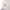 New Era Mini Square Logo Beige Youth 9TWENTY Adjustable Cap