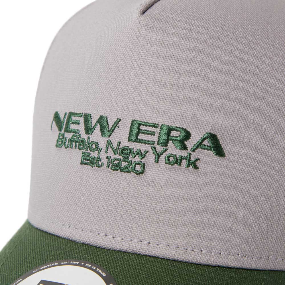 New Era Golf Wordmark Logo Duck Two Tone Grey Green 9FORTY A-Frame Adjustable Cap