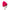 New Era Basic Bright Rose Cuff Knit Beanie