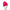 New Era Basic Bright Rose Cuff Knit Beanie