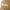 New Era Compilation Logo Khaki 9FORTY A-Frame Adjustable Cap
