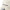 New Era Wordmark Logo Stone 9TWENTY Adjustable Cap