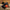 Banner Grid image