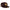 New Era San Diego Padres All Star 2026 Dark Brown 59FIFTY Fitted Cap