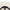New Era Script Logo Chrome White 9TWENTY Adjustable Cap