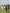 Banner Grid Slider image