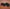 Banner Grid image