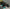 Banner Grid image