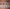 Banner + Text Grid 2 logo 2
