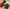 Banner Grid image