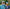 Banner Grid image