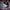 Banner Grid image