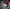 Banner Grid image