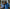 Banner Grid image